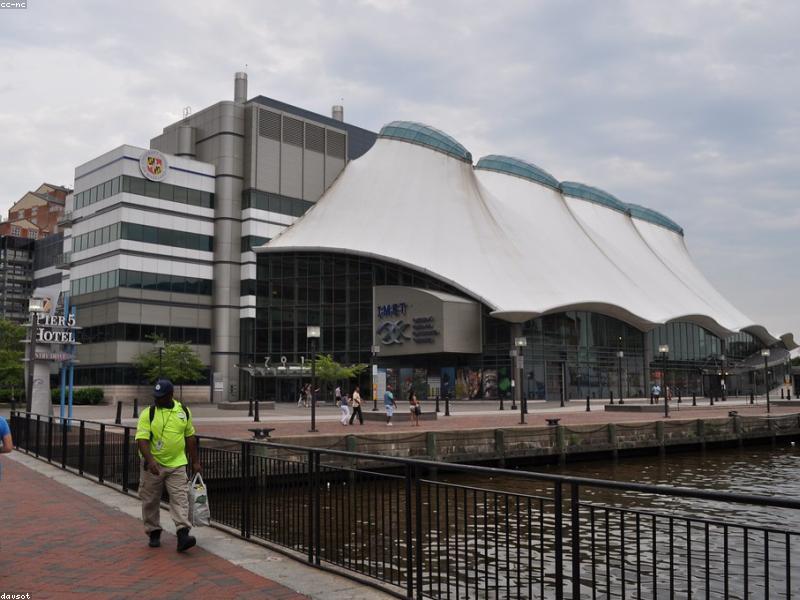 Harbor Cleanup Volunteers Hit Record Numbers