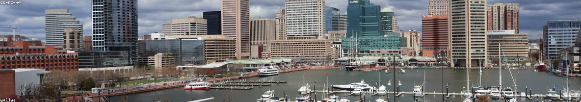 Promote your business on HarborBeat
